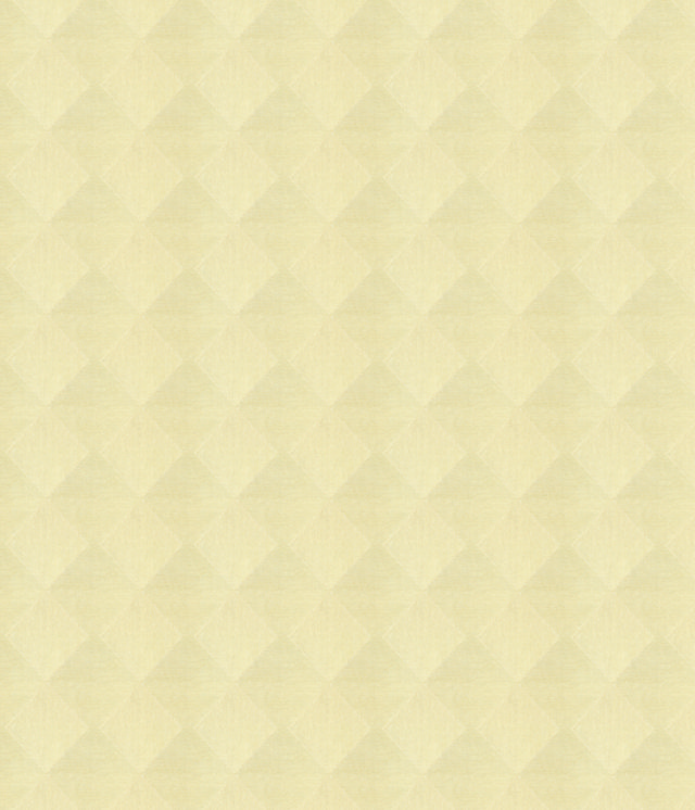 ZN002-1 (FILEminimizer)